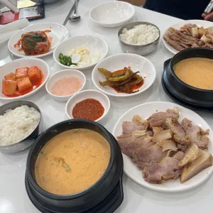 낙원메밀 사진