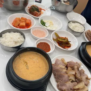 낙원메밀 사진