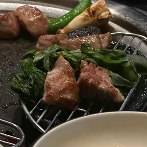 금돈미가 사진