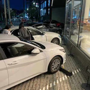 금정사계 리뷰 사진