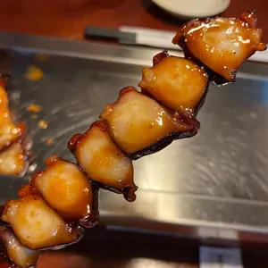 도리토리 사진
