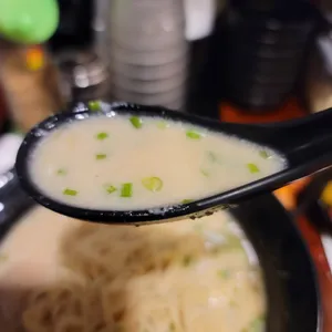 코이라멘 사진