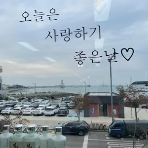 황금물고기 리뷰 사진