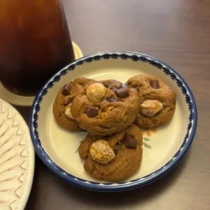 토푸 사진