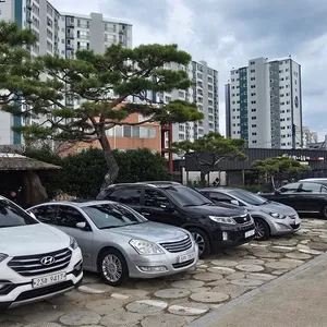 앞뜰식당 리뷰 사진