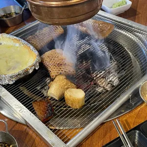 비가우돈 사진