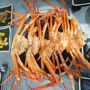붉은대게일번지 사진