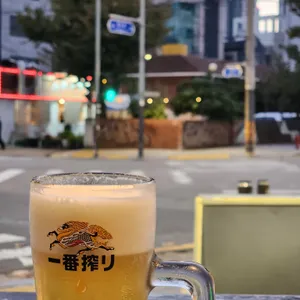 토리비 사진
