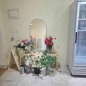 리카 사진