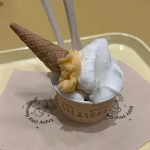 젤라송 사진