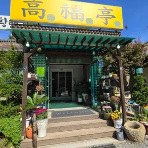 고복정 리뷰 사진