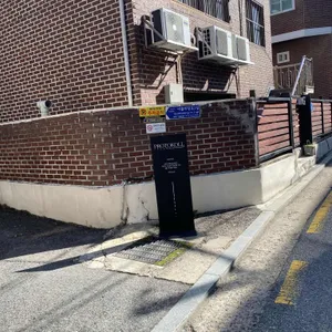 프로토콜 리뷰 사진