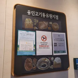 스타벅스 리뷰 사진