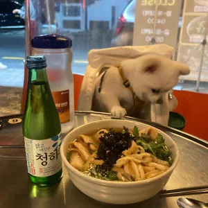 깡우동 사진