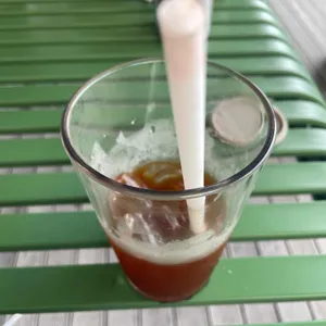 반야원 플라타너스 사진