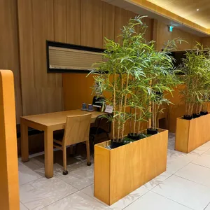 오오마 리뷰 사진