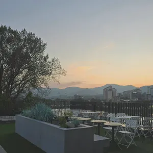 할리스 리뷰 사진