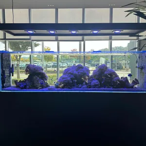 카페쉘리. 리뷰 사진