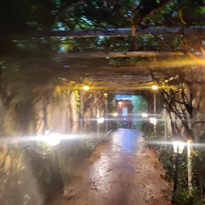 황톳길 리뷰 사진