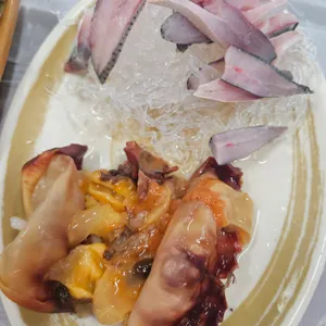 거북이네 사진