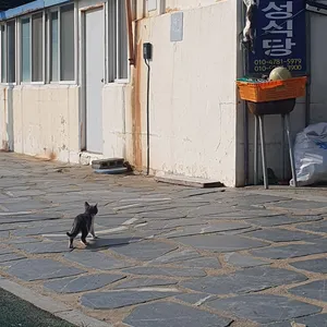 해성식당 리뷰 사진