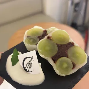 포레스트 사진