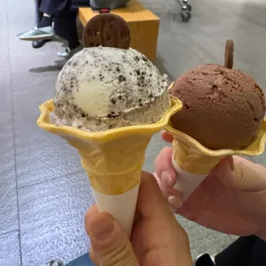 세띠엠므 사진