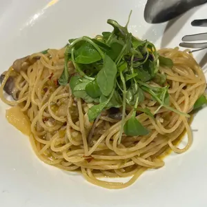 치폴라 로쏘 사진