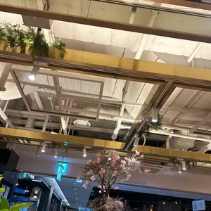 심비디움 리뷰 사진