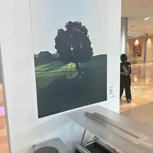 묘사서울 리뷰 사진