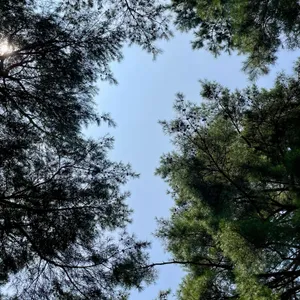 카페 설악산로 리뷰 사진