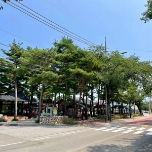 카페 설악산로 리뷰 사진