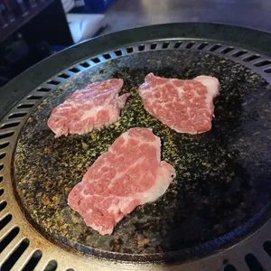 히까리켄 사진