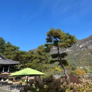 가비가배 리뷰 사진