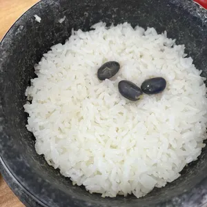 봄설 사진