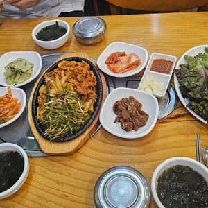 소나무 사진