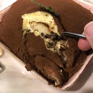 르메드 사진