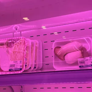 야자수캠핑바베큐 리뷰 사진