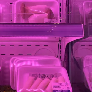 야자수캠핑바베큐 리뷰 사진