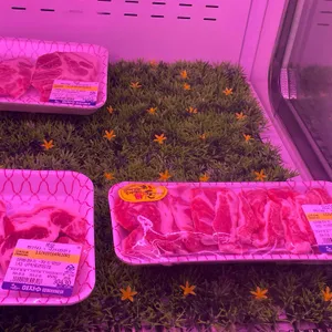 야자수캠핑바베큐 리뷰 사진