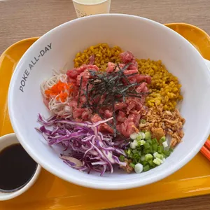 포케올데이 사진