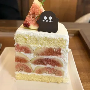 네모네 사진