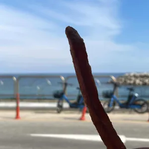 양지바른버거집 사진 2