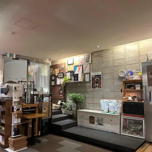 카페숲 리뷰 사진
