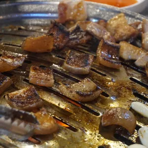 내껍데기돌리도 사진