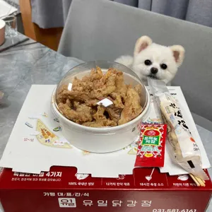 유일닭강정 사진