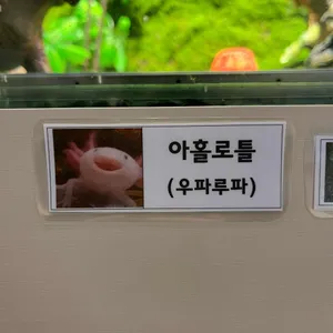 아쿠아 테마카페 리뷰 사진