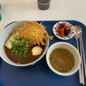 카카모루 사진
