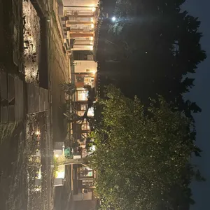 솔 리뷰 사진