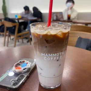 매머드익스프레스 사진